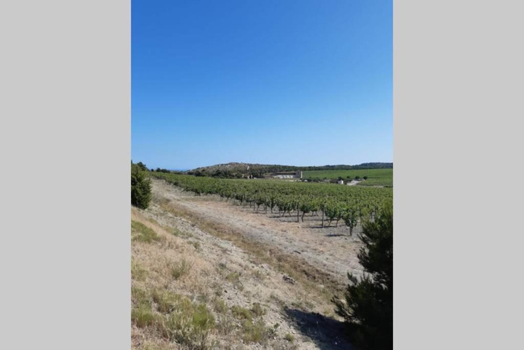 Appartement Calme Entre Terre Et Mer Proche Plage Fleury (Aude) Exterior foto