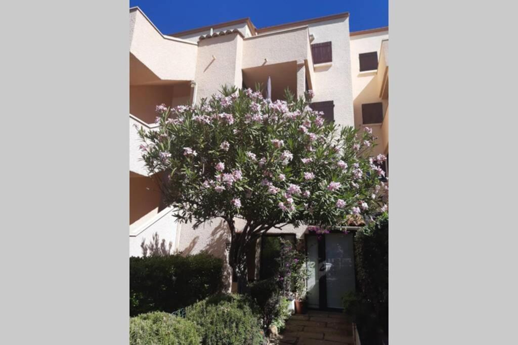 Appartement Calme Entre Terre Et Mer Proche Plage Fleury (Aude) Exterior foto